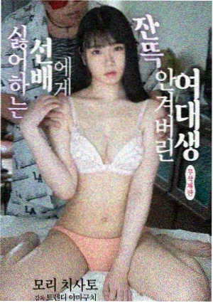 在线观看高清电视剧 新剧